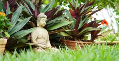 buddha statue on green grass field during daytime